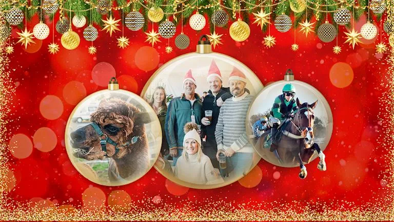 The Rand Farm Park Boxing Day Racing