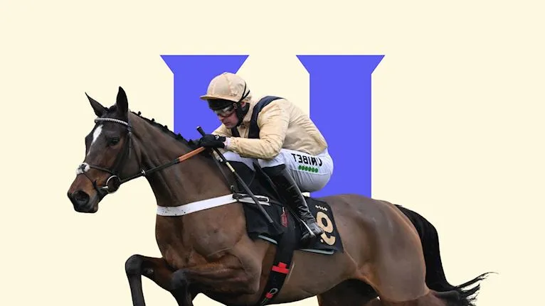 Afternoon Racing