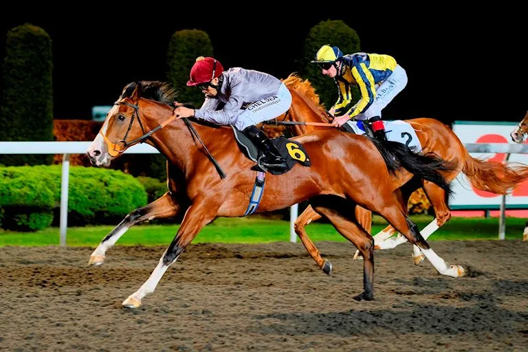 Floodlit Racing