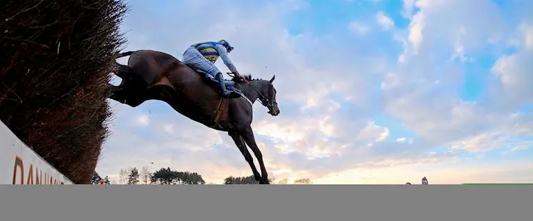 Hearts & Horses Raceday