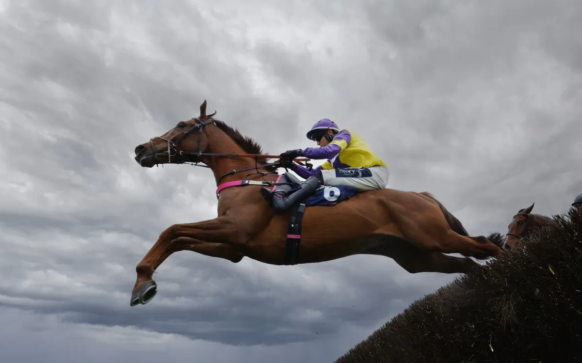Horse Racing in Devon | Meet An Equine Hero | 13 April 2027 — Newton Abbot Racecourse