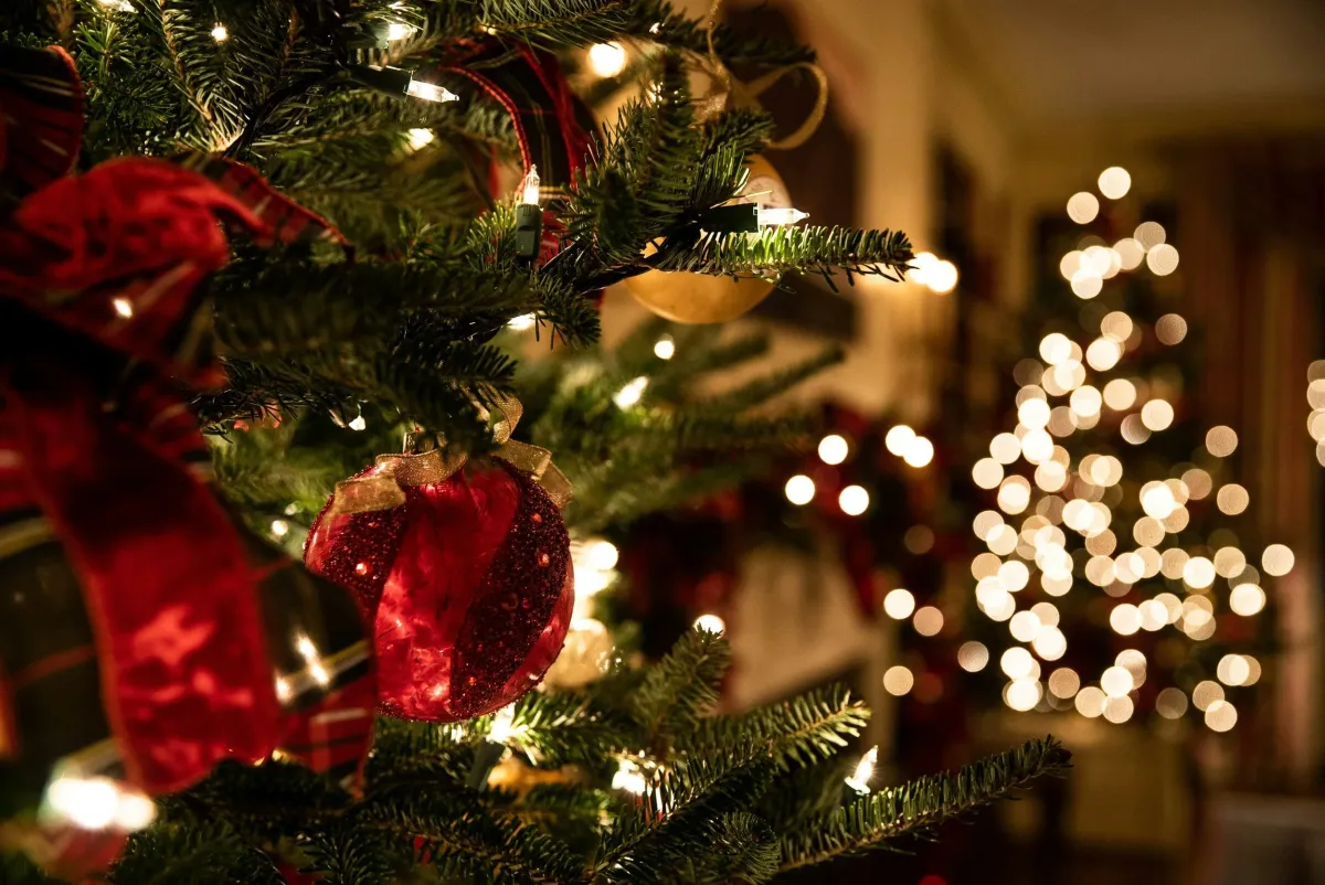 Christmas Party Night — Newton Abbot Racecourse